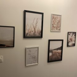 346102178_994453918217714_4770497325296671400_n